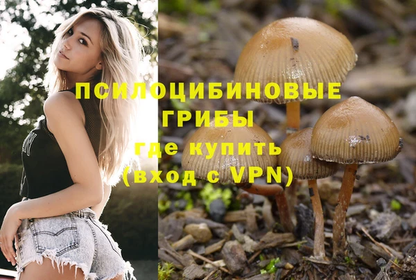 ГАЛЛЮЦИНОГЕННЫЕ ГРИБЫ Ладушкин
