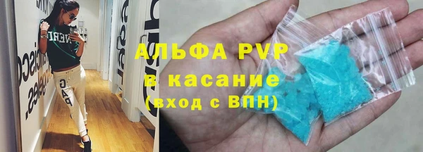 прущие грибы Кукмор