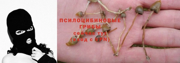 спайс Лагань