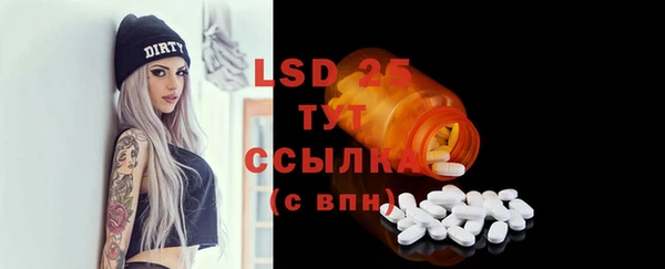 прущие грибы Кукмор