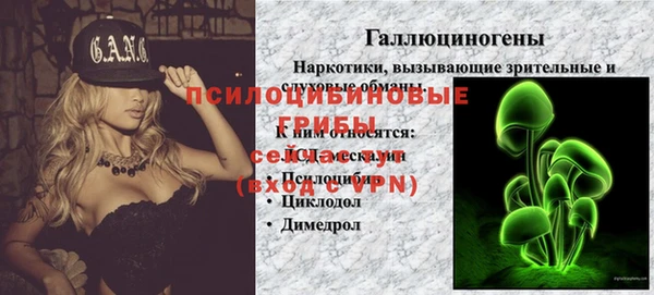 прущие грибы Кукмор