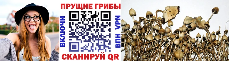 Галлюциногенные грибы мухоморы  МЕГА онион  Удачный 